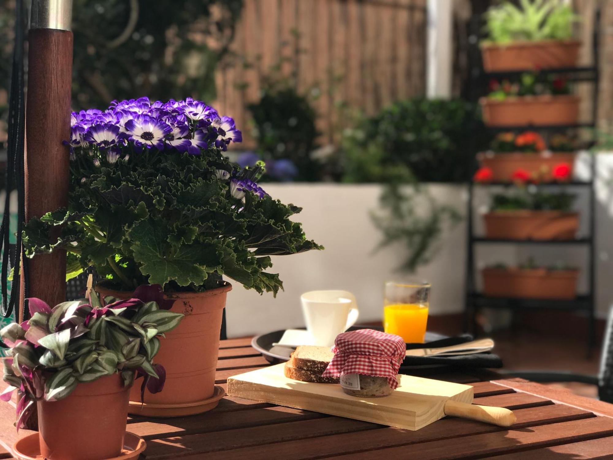 Eixample Modernista Apartment Βαρκελώνη Εξωτερικό φωτογραφία